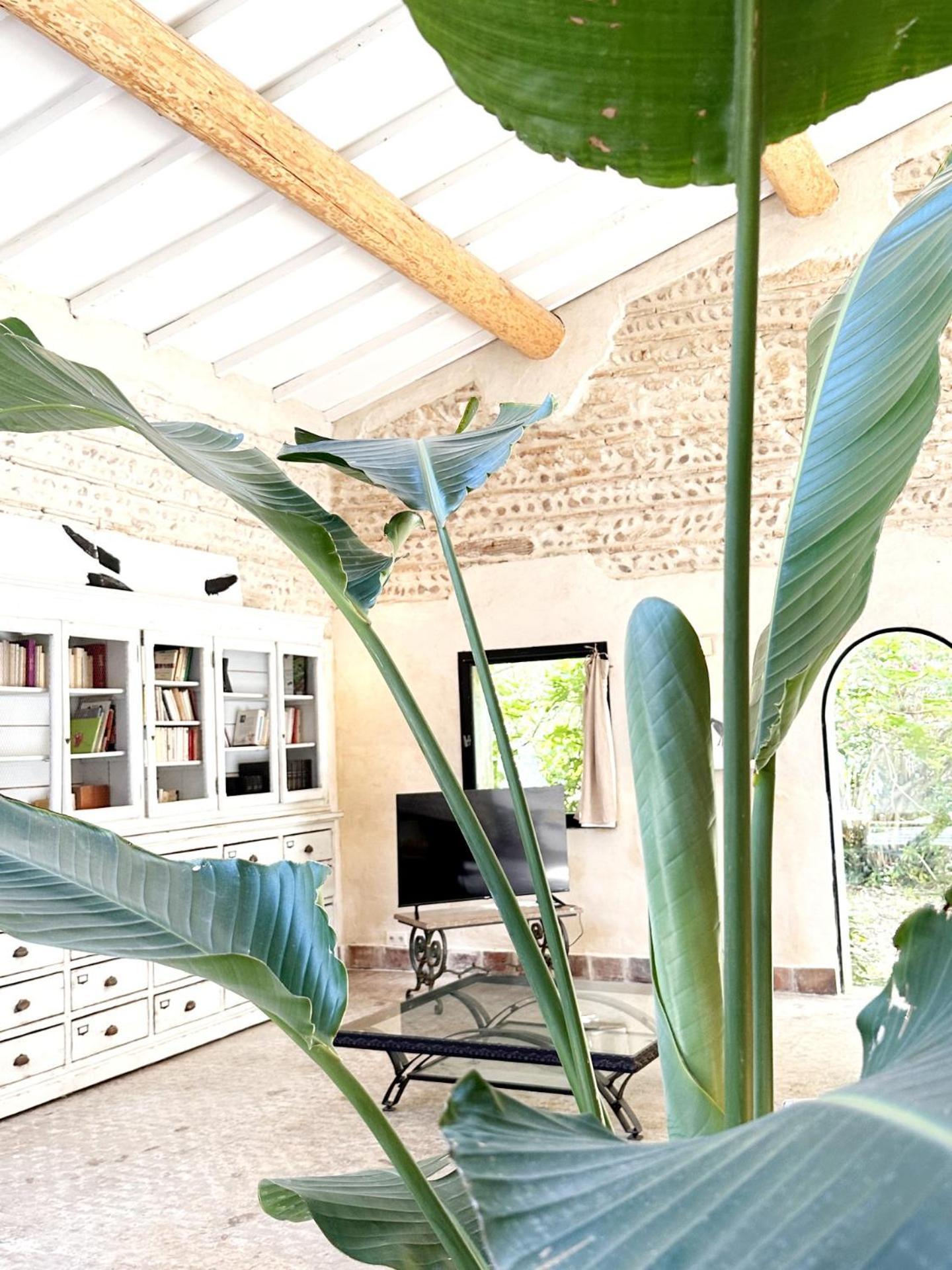 Magnifique Loft - Piscine - Tennis - Babyfoot Nîmes Dış mekan fotoğraf